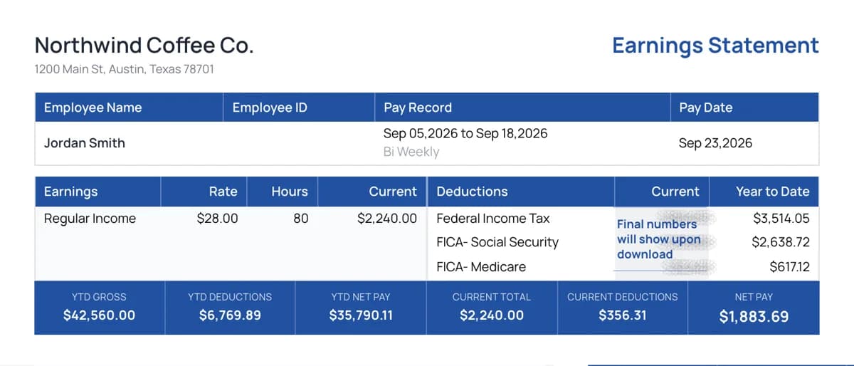 Pay stub template A preview